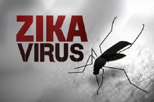 Thành phố Hồ Chí Minh công bố hết dịch virus Zika