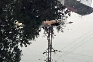 Hà Nội: Người dân tá hỏa khi phát hiện thi thể nam giới nổi lềnh bềnh trên sông Nhuệ