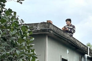 Bắt đối tượng ngáo đá lái xe lạng lách, trèo lên mái nhà la hét