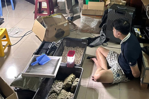 Phát hiện “vườn trồng cần sa” giữa TP Đà Nẵng Phát hiện “vườn trồng cần sa” giữa TP Đà Nẵng