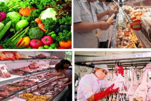 Triển khai kế hoạch đảm bảo an toàn thực phẩm dịp Tết Nguyên đán Canh Tý và Lễ hội Xuân 2020