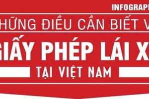 Danh mục các loại bằng lái xe tại Việt Nam Danh mục các loại bằng lái xe tại Việt Nam