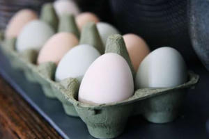 Người mắc đái tháo đường có thể ăn 12 quả trứng một tuần