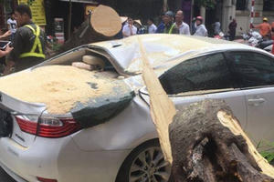 Cây lớn bất ngờ gãy đổ đè bẹp xế hộp Lexus
