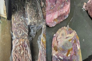 Phát hiện cơ sở trữ, chế biến hàng chục tấn lòng lợn không rõ nguồn gốc tại Hà Nội
