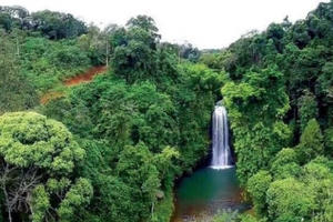 Măng Đen – nàng thơ giữa Tây Nguyên đại ngàn