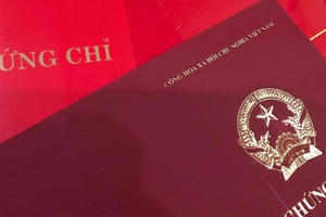 Chưa ngã ngũ việc gỡ vướng về chứng chỉ tin học, ngoại ngữ Chưa ngã ngũ việc gỡ vướng về chứng chỉ tin học, ngoại ngữ