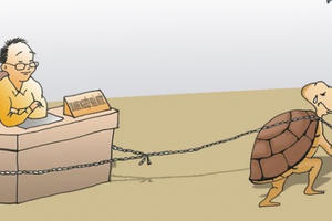 Chỉ cần cách chức vài vị, công việc sẽ chạy ngay,  thưa Phó Thủ tướng!