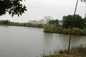 Vĩnh Phúc: Mắc sai phạm, lãnh đạo xã “hạ cánh an toàn” vì được bao che?