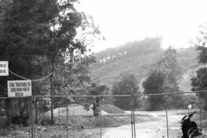 Vụ chồng giết hổ, vợ được cấp phép nuôi hổ tại Nghệ An: Tỉnh có công văn khẩn chỉ đạo xem xét vụ việc