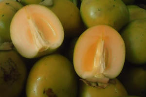 Điểm mặt hai loại hồng giòn Trung Quốc tràn chợ