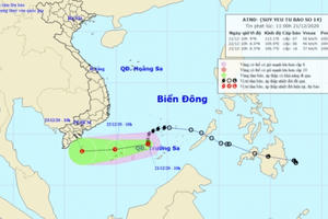 Bão số 14 suy yếu thành áp thấp nhiệt đới, gió giật cấp 9