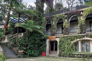 Địa ốc 7AM: Biệt thự “mọc” trên đất rừng Ba Vì - Phạt cho tồn tại