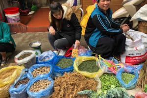 Khám phá vẻ đẹp đầy sắc màu của chợ phiên Đồng Văn