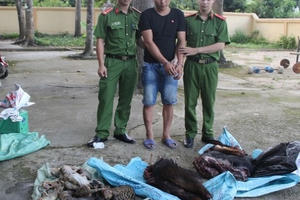 “Cắt rừng” vận chuyển động vật quý hiếm từ Lào về Việt Nam tiêu thụ