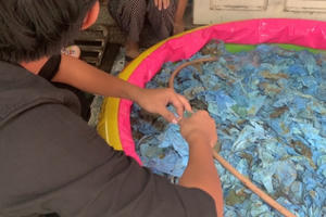 Liên tiếp phát hiện thủ đoạn “phù phép” găng tay y tế đã qua sử dụng