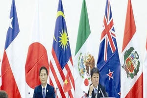 TPP - Cuộc lột xác ngoạn mục ở Đà Nẵng