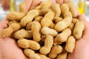 Thứ quà đồng quê chống đột quỵ, ung thư