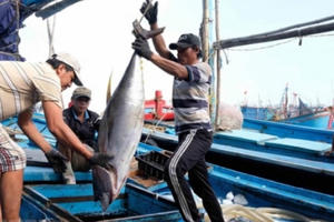 Giảm sản lượng khai thác để bảo tồn nguồn lợi biển