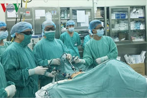 Rắn độc cắn hoại tử chân một phụ nữ