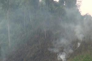 Quảng Ngãi: Dập tắt đám cháy rừng sau 4 giờ nỗ lực