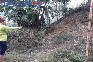 Hà Giang: Bắt giữ đối tượng trộm hàng loạt con trâu