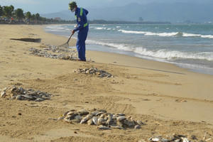 Nghệ An: Bàng hoàng phát hiện thi thể người phụ nữ chết bên bờ biển