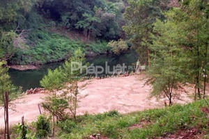 Giám đốc Công ty Cổ phần Dược liệu Bông Sen Vàng san ủi đất lấn chiếm hồ Quang Minh