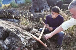 Nhặt khúc gỗ xấu xí vứt ngoài vườn, 5 năm sau mới biết là kho báu hơn 60 tỷ đồng