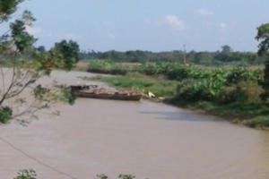 Thanh Hóa: Xử phạt hàng trăm triệu đồng 7 tàu hút cát trái phép
