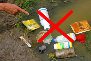 31 loại thuốc bảo vệ thực vật bị cấm sử dụng tại Việt Nam