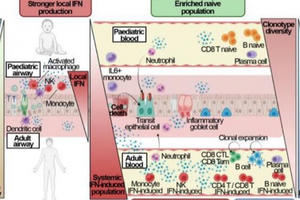 Tìm ra lý do trẻ em 'khỏe re' trước Covid-19: Triển vọng cứu nhiều người lớn