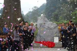 Cao Bằng: Công nhận cây Gạo trên 500 năm là Cây Di sản Việt Nam