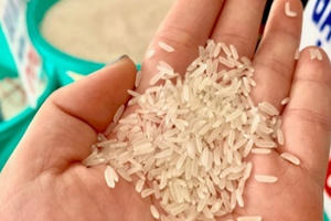 Sau 'đăng quang' quán quân ngon nhất thế giới, gạo ST25 Việt Nam 'cháy hàng'