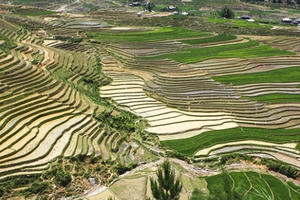 Mù Cang Chải mùa nước đổ: Bức bích họa giữa đại ngàn Tây Bắc