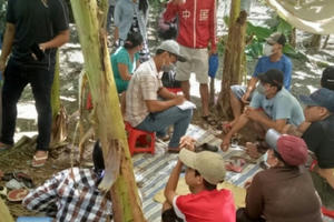 Triệt xóa tụ điểm lắc tài xỉu ăn tiền trong vườn chuối