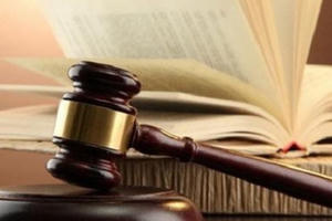 Thủ tướng phân công soạn thảo văn bản quy định chi tiết thi hành các luật, nghị quyết