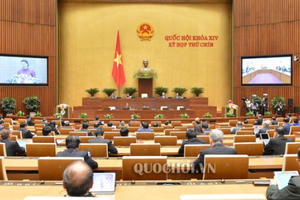 Trông đợi quyết sách từ nghị trường