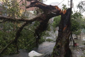 Bão số 12: Những hình ảnh thiệt hại đầu tiên tại Nha Trang, Phú Yên
