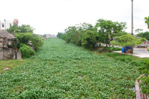 Ninh Bình: Phát hiện một thi thể nổi trên sông chưa rõ danh tính
