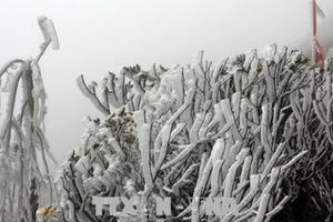 Cuối tháng 12, Bắc Bộ khả năng xảy ra băng giá và mưa tuyết Cuối tháng 12, Bắc Bộ khả năng xảy ra băng giá và mưa tuyết