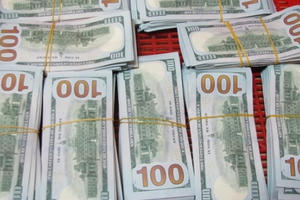 Phát hiện gần nửa triệu USD vận chuyển trái phép từ Campuchia về Việt Nam