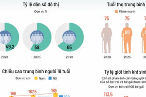Dân số Hà Nội sẽ chạm ngưỡng 10 triệu vào năm 2030