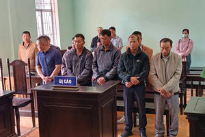 Gia Lai: 8 bị cáo lĩnh án trong vụ đưa, nhận hối lộ và tham ô tài sản rừng