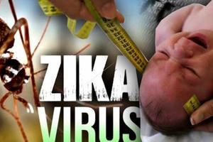 Số người nhiễm Zika tại TP HCM tiếp tục tăng