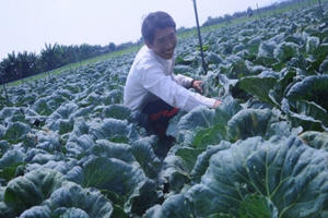 Những lão nông đổi đời nhờ mê rau công nghệ cao Những lão nông đổi đời nhờ mê rau công nghệ cao