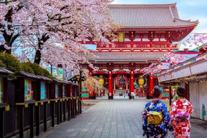 Du khách muốn mở lại các chuyến bay đến Nhật Bản để ngắm hoa anh đào sau dịch COVID-19