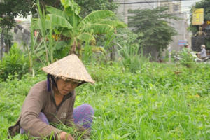 Gia đình nghèo lâm vào bi kịch khi vợ trót mua phải dự án ma của công ty Kingland