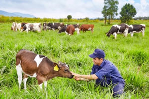 Vinamilk ra mắt dòng sữa tươi 100% organic sản xuất tại Việt Nam