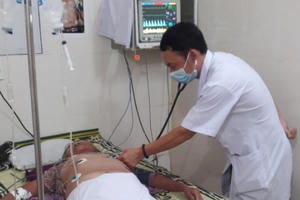 Cứu sống thần kỳ cụ bà đã ngừng tim vì bị ong vò vẽ đốt hàng chục nốt